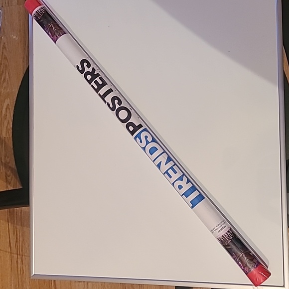 Trends International Teenage Mutant Ninja Turtles: Mutant Mayhem - Splinter Wall - Picture 4 of 6